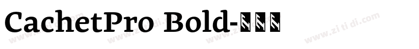 CachetPro Bold字体转换
